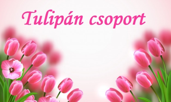 Tulipán csoport