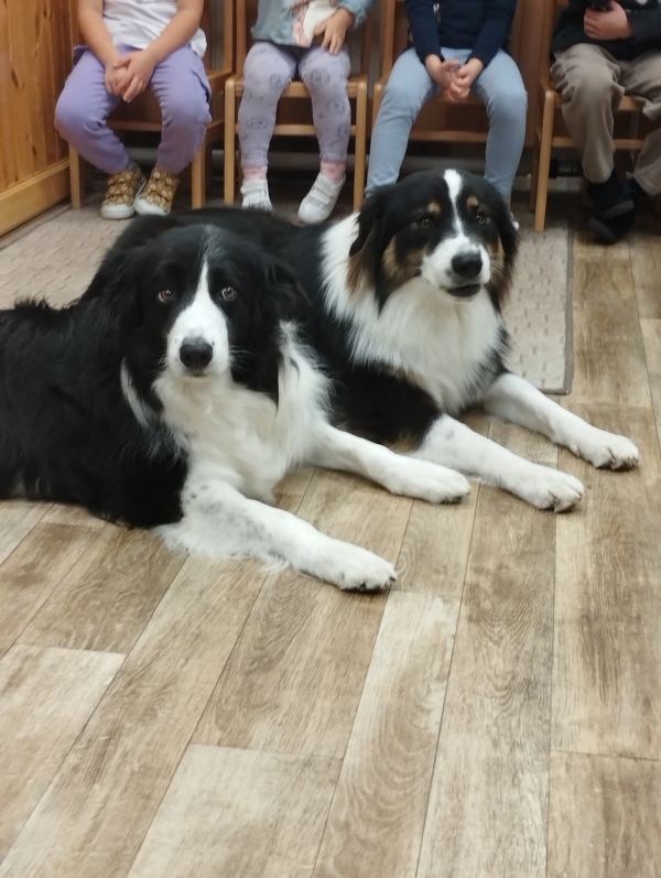 Állatok világnapja 